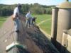 old roofing ranch